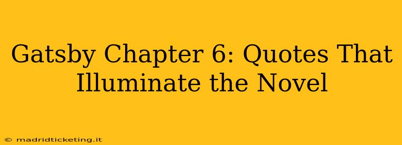 Gatsby Chapter 6: Quotes That Illuminate the Novel