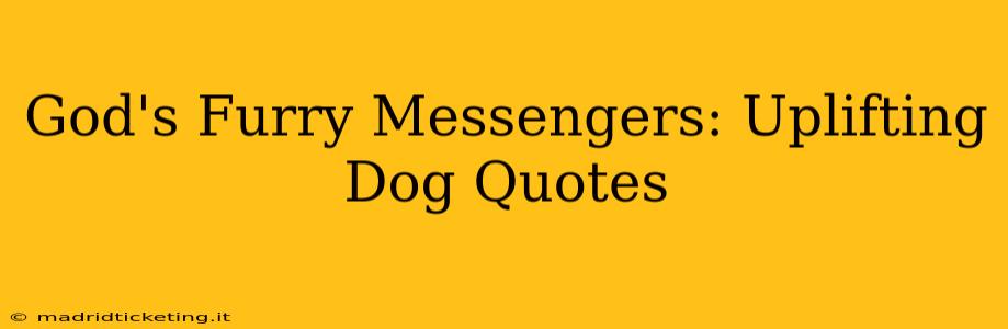 God's Furry Messengers: Uplifting Dog Quotes