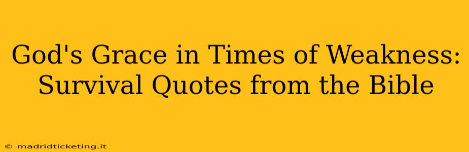 God's Grace in Times of Weakness: Survival Quotes from the Bible
