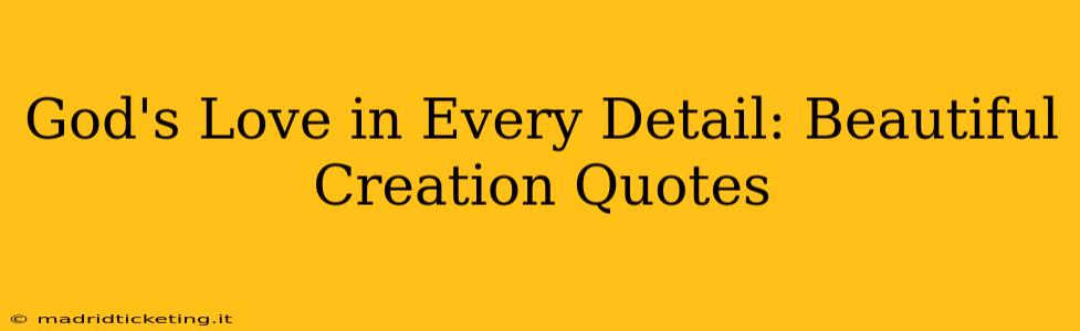 God's Love in Every Detail: Beautiful Creation Quotes