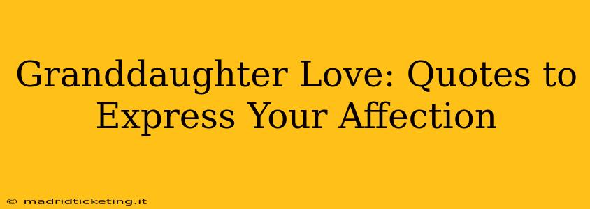Granddaughter Love: Quotes to Express Your Affection