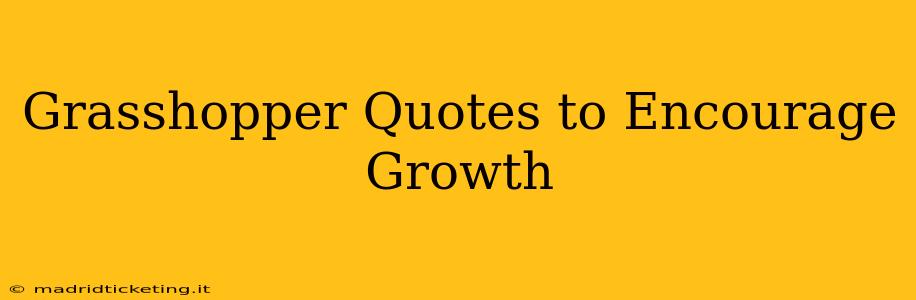 Grasshopper Quotes to Encourage Growth