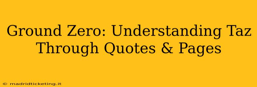 Ground Zero: Understanding Taz Through Quotes & Pages