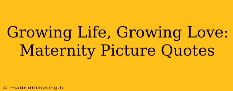 Growing Life, Growing Love: Maternity Picture Quotes