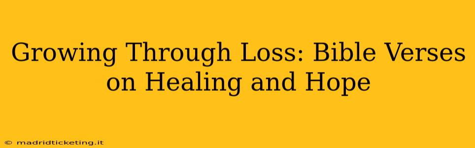 Growing Through Loss: Bible Verses on Healing and Hope