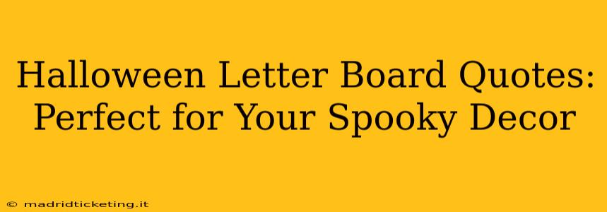 Halloween Letter Board Quotes: Perfect for Your Spooky Decor