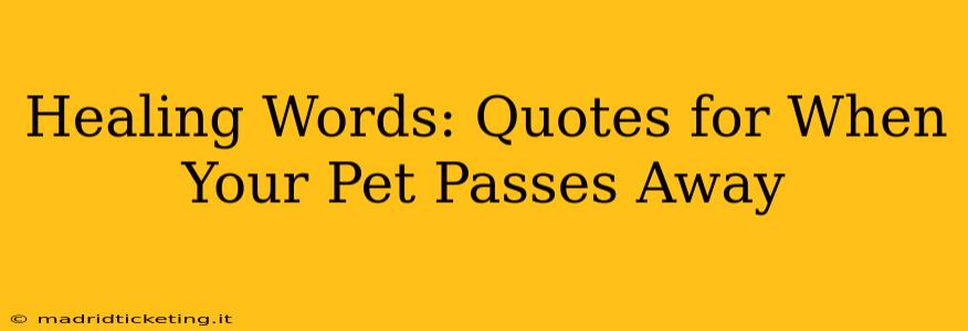 Healing Words: Quotes for When Your Pet Passes Away