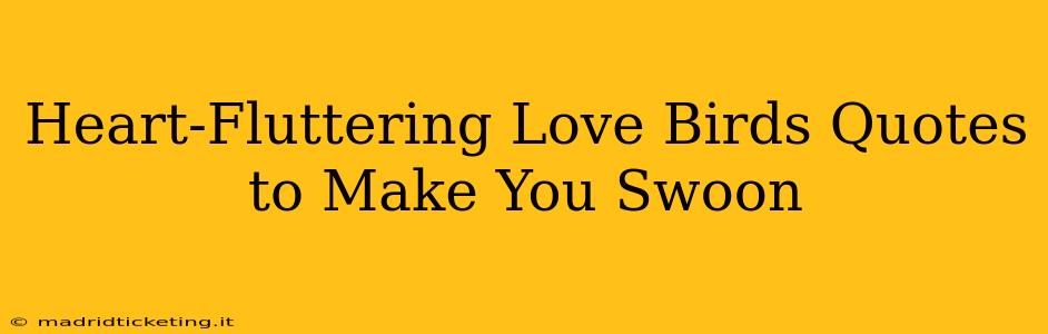 Heart-Fluttering Love Birds Quotes to Make You Swoon