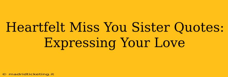Heartfelt Miss You Sister Quotes: Expressing Your Love