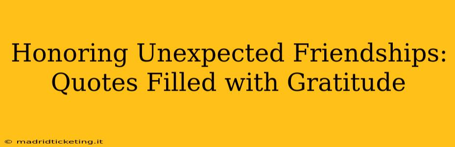Honoring Unexpected Friendships: Quotes Filled with Gratitude