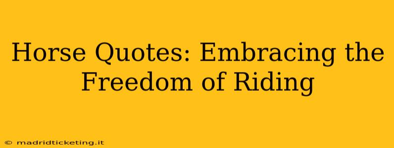Horse Quotes: Embracing the Freedom of Riding