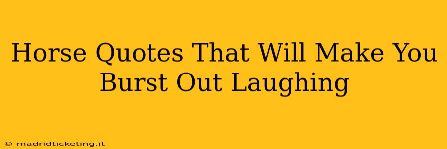 Horse Quotes That Will Make You Burst Out Laughing