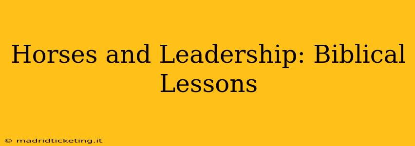 Horses and Leadership: Biblical Lessons