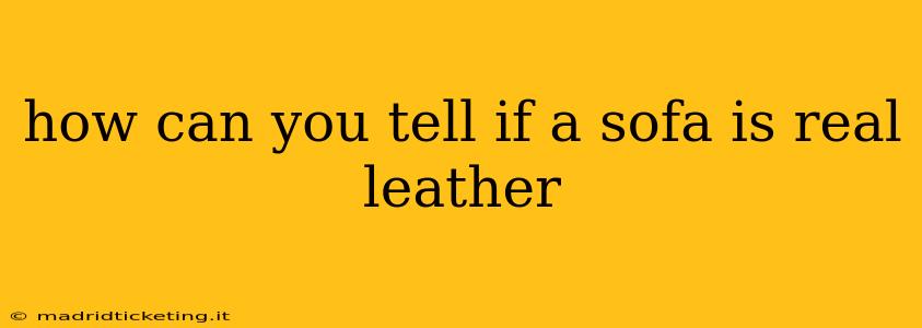 how can you tell if a sofa is real leather