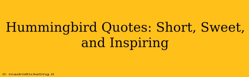 Hummingbird Quotes: Short, Sweet, and Inspiring