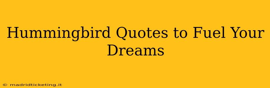Hummingbird Quotes to Fuel Your Dreams