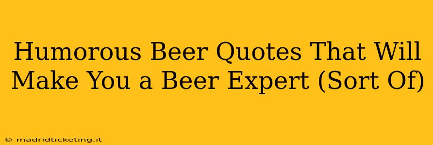 Humorous Beer Quotes That Will Make You a Beer Expert (Sort Of)