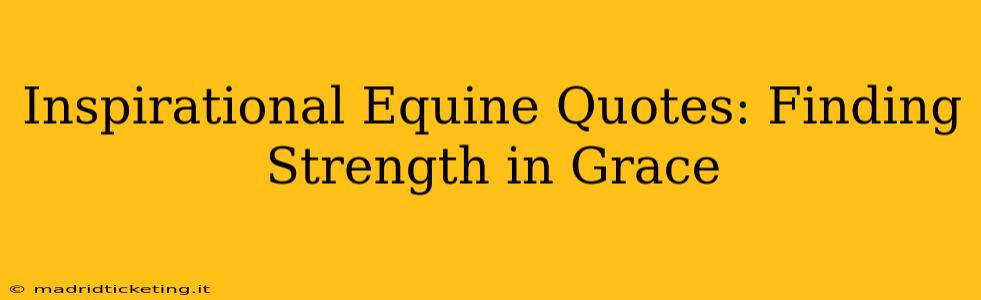 Inspirational Equine Quotes: Finding Strength in Grace