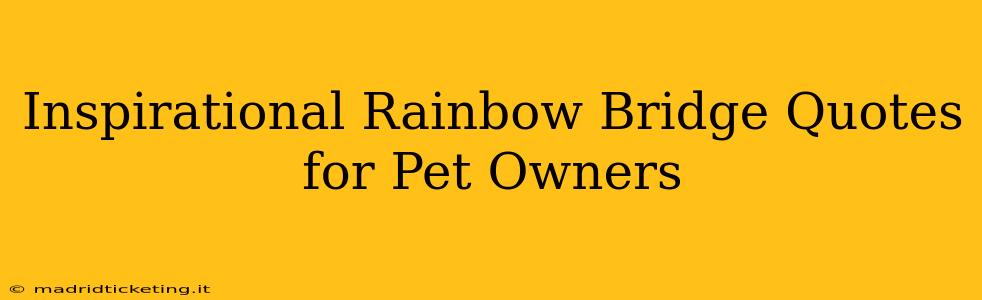 Inspirational Rainbow Bridge Quotes for Pet Owners