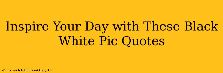 Inspire Your Day with These Black White Pic Quotes