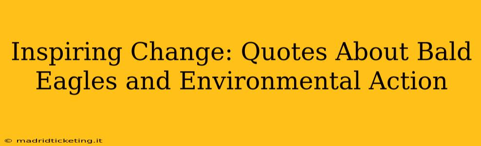Inspiring Change: Quotes About Bald Eagles and Environmental Action