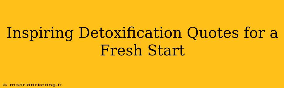 Inspiring Detoxification Quotes for a Fresh Start