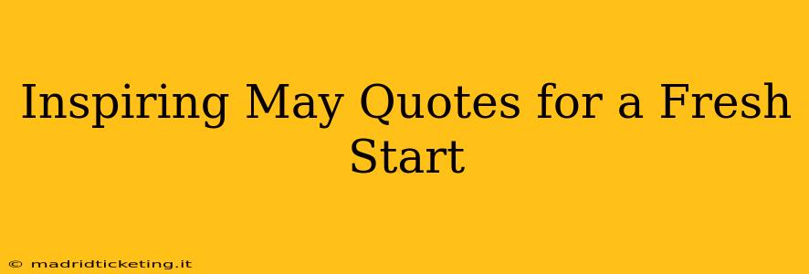 Inspiring May Quotes for a Fresh Start