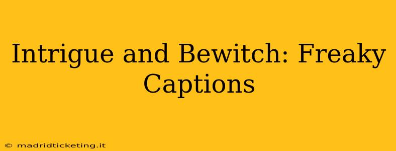 Intrigue and Bewitch: Freaky Captions