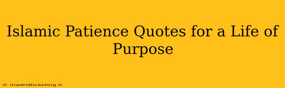 Islamic Patience Quotes for a Life of Purpose