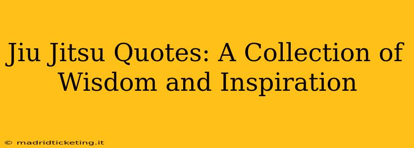 Jiu Jitsu Quotes: A Collection of Wisdom and Inspiration