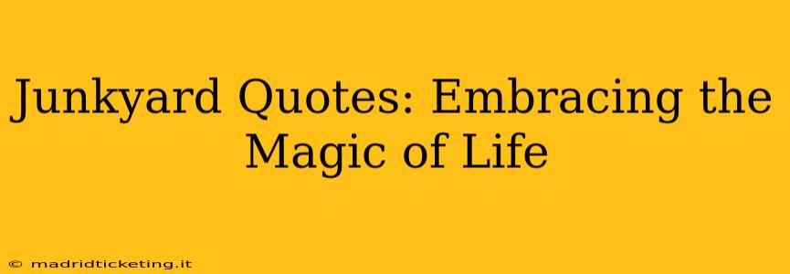 Junkyard Quotes: Embracing the Magic of Life