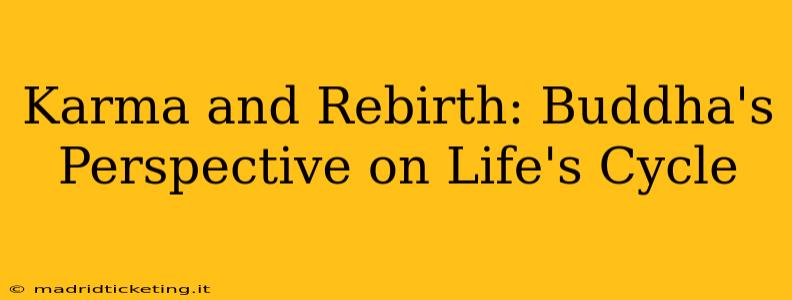 Karma and Rebirth: Buddha's Perspective on Life's Cycle