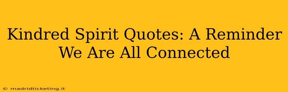Kindred Spirit Quotes: A Reminder We Are All Connected