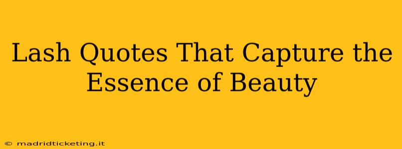Lash Quotes That Capture the Essence of Beauty