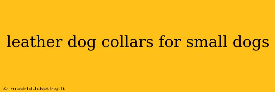 leather dog collars for small dogs