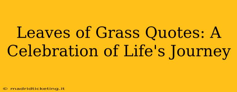 Leaves of Grass Quotes: A Celebration of Life's Journey
