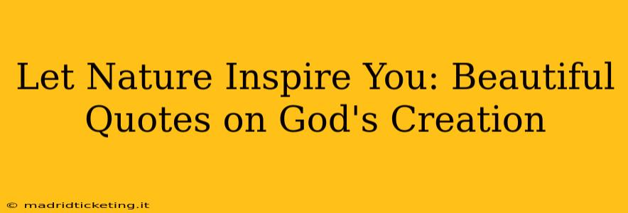 Let Nature Inspire You: Beautiful Quotes on God's Creation