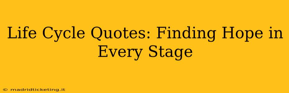 Life Cycle Quotes: Finding Hope in Every Stage