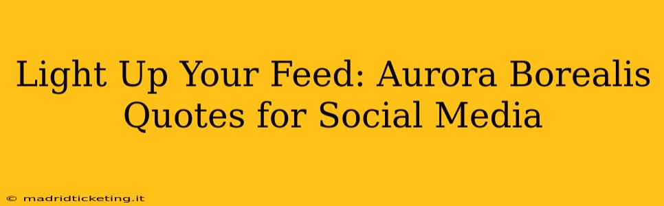 Light Up Your Feed: Aurora Borealis Quotes for Social Media