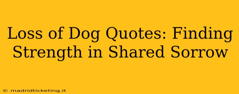 Loss of Dog Quotes: Finding Strength in Shared Sorrow