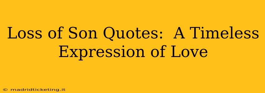 Loss of Son Quotes:  A Timeless Expression of Love