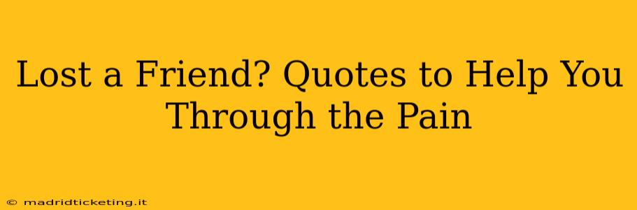 Lost a Friend? Quotes to Help You Through the Pain