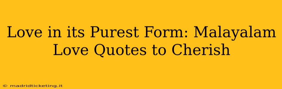 Love in its Purest Form: Malayalam Love Quotes to Cherish