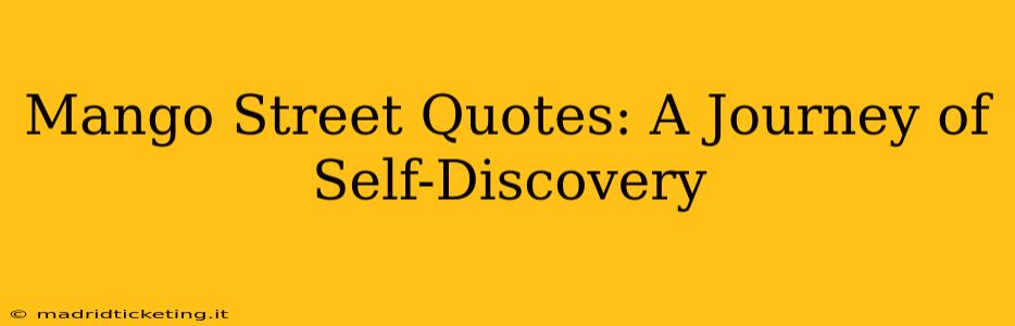 Mango Street Quotes: A Journey of Self-Discovery