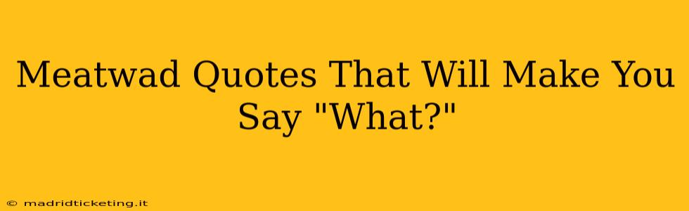 Meatwad Quotes That Will Make You Say "What?"
