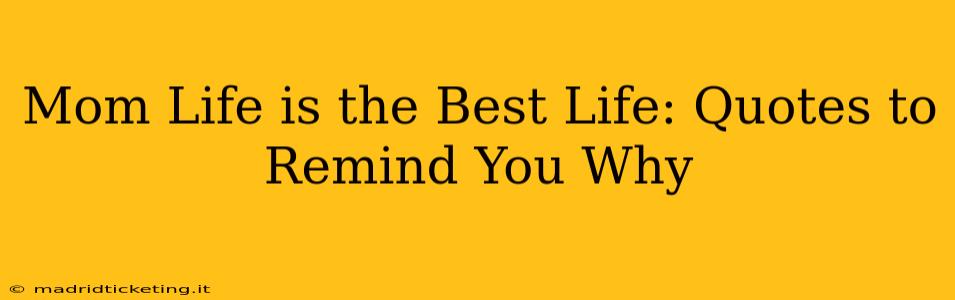Mom Life is the Best Life: Quotes to Remind You Why