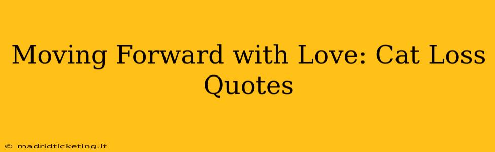 Moving Forward with Love: Cat Loss Quotes