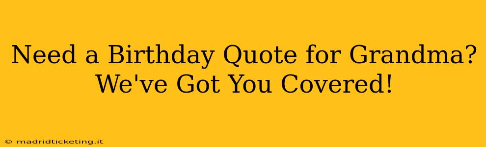 Need a Birthday Quote for Grandma? We've Got You Covered!