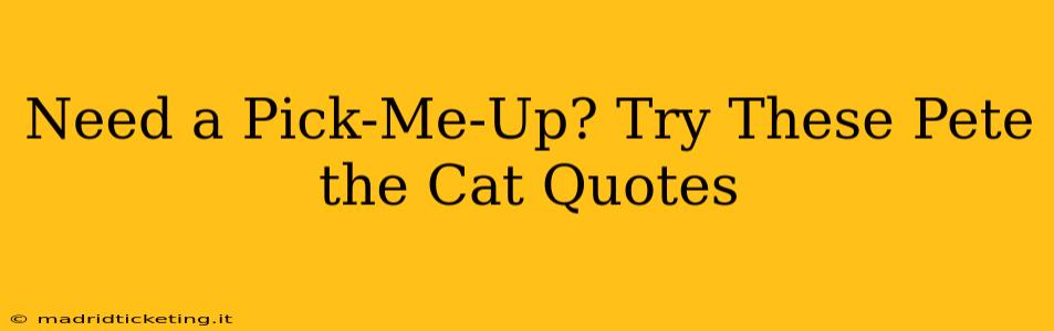 Need a Pick-Me-Up? Try These Pete the Cat Quotes