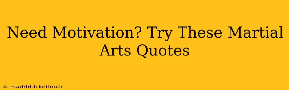 Need Motivation? Try These Martial Arts Quotes